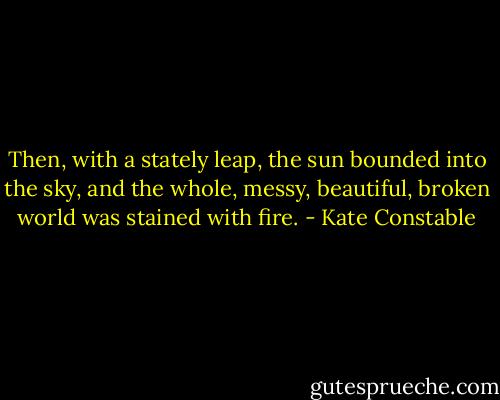 Then, with a stately leap, the sun bounded into the sky, and the whole, messy, beautiful, broken world was stained with fire. - Kate Constable