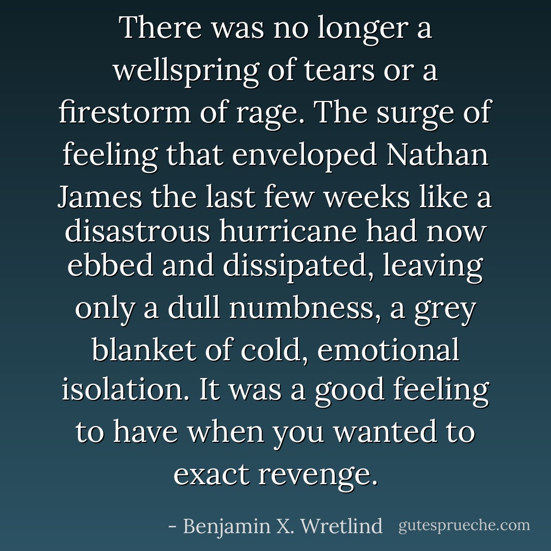 There was no longer a wellspring of tears or a firestorm of rage. The surge of feeling that enveloped Nathan James the last few weeks like a disastrous hurricane had now ebbed and dissipated, leaving only a dull numbness, a grey blanket of cold, emotional isolation. It was a good feeling to have when you wanted to exact revenge. - Benjamin X. Wretlind