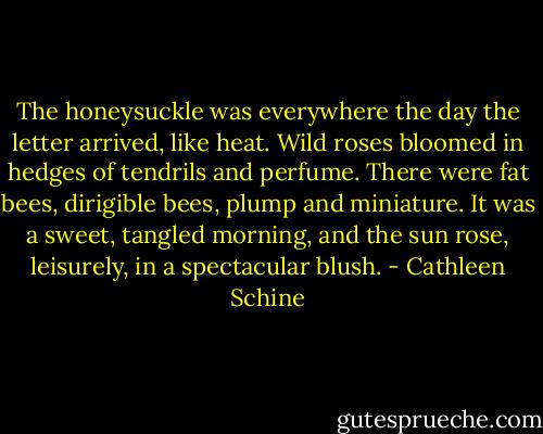 The honeysuckle was everywhere the day the letter arrived, like heat. Wild roses bloomed in hedges of tendrils and perfume. There were fat bees, dirigible bees, plump and miniature. It was a sweet, tangled morning, and the sun rose, leisurely, in a spectacular blush. - Cathleen Schine