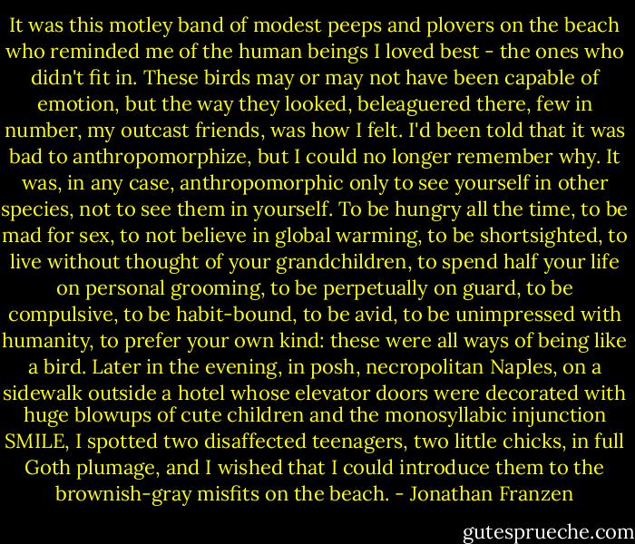 It was this motley band of modest peeps and plovers on the beach who reminded me of the human beings I loved best - the ones who didn't fit in. These birds may or may not have been capable of emotion, but the way they looked, beleaguered there, few in number, my outcast friends, was how I felt. I'd been told that it was bad to anthropomorphize, but I could no longer remember why. It was, in any case, anthropomorphic only to see yourself in other species, not to see them in yourself. To be hungry all the time, to be mad for sex, to not believe in global warming, to be shortsighted, to live without thought of your grandchildren, to spend half your life on personal grooming, to be perpetually on guard, to be compulsive, to be habit-bound, to be avid, to be unimpressed with humanity, to prefer your own kind: these were all ways of being like a bird. Later in the evening, in posh, necropolitan Naples, on a sidewalk outside a hotel whose elevator doors were decorated with huge blowups of cute children and the monosyllabic injunction SMILE, I spotted two disaffected teenagers, two little chicks, in full Goth plumage, and I wished that I could introduce them to the brownish-gray misfits on the beach. - Jonathan Franzen