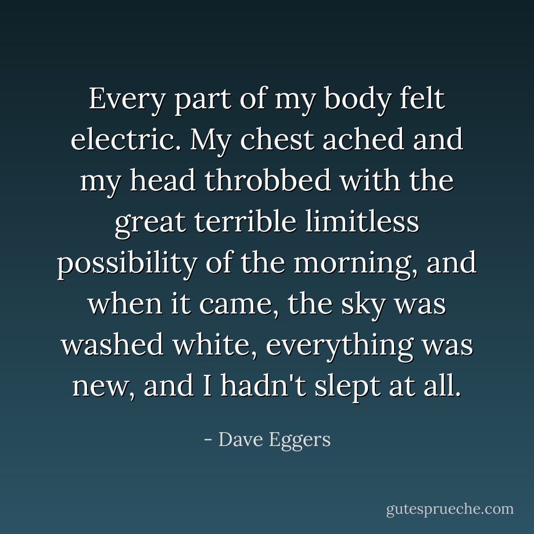 Every part of my body felt electric. My chest ached and my head throbbed with the great terrible limitless possibility of the morning, and when it came, the sky was washed white, everything was new, and I hadn't slept at all. - Dave Eggers