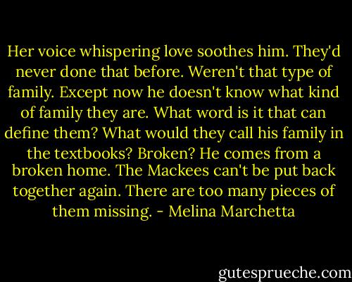 Her voice whispering love soothes him. They'd never done that before. Weren't that type of family. Except now he doesn't know what kind of family they are. What word is it that can define them? What would they call his family in the textbooks? Broken? He comes from a broken home. The Mackees can't be put back together again. There are too many pieces of them missing. - Melina Marchetta