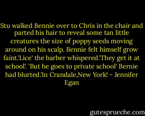 Stu walked Bennie over to Chris in the chair and parted his hair to reveal some tan little creatures the size of poppy seeds moving around on his scalp. Bennie felt himself grow faint.'Lice' the barber whispered.'They get it at school'. 'But he goes to private school' Bernie had blurted.'In Crandale,New York! - Jennifer Egan
