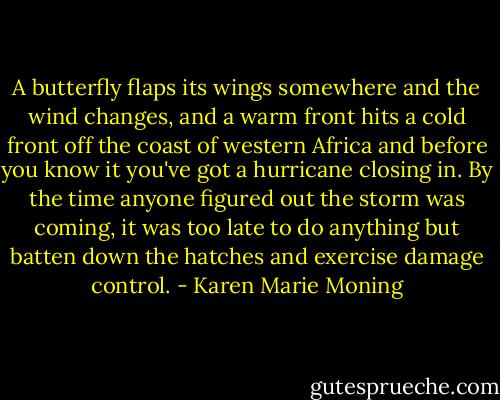 A butterfly flaps its wings somewhere and the wind changes, and a warm front hits a cold front off the coast of western Africa and before you know it you've got a hurricane closing in. By the time anyone figured out the storm was coming, it was too late to do anything but batten down the hatches and exercise damage control. - Karen Marie Moning