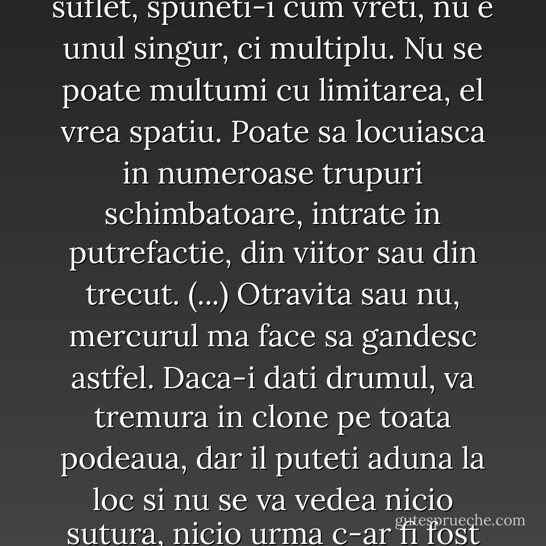 De ce sa scap? De prezent? Da, de acest prim-plan care-mi ascunde ce se intampla in perspectiva. Daca am spirit sau suflet, spuneti-i cum vreti, nu e unul singur, ci multiplu. Nu se poate multumi cu limitarea, el vrea spatiu. Poate sa locuiasca in numeroase trupuri schimbatoare, intrate in putrefactie, din viitor sau din trecut. (...) Otravita sau nu, mercurul ma face sa gandesc astfel. Daca-i dati drumul, va tremura in clone pe toata podeaua, dar il puteti aduna la loc si nu se va vedea nicio sutura, nicio urma c-ar fi fost imprastiat. Aveti o singura viata sau nenumarate vieti, depinde ce va doriti.” (pag 183) - Jeanette Winterson
