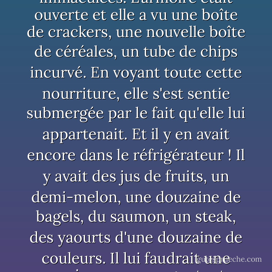 LA BOUNTEILLE<br />Dans sa cuisine, elle a vu beaucoup de choses qu'elle aimerait manger. Sur le comptoir, il y avait un bouquet de bananes neuves, jaunes comme une chaise de Van Gogh, et deux pommes, immaculées. L'armoire était ouverte et elle a vu une boîte de crackers, une nouvelle boîte de céréales, un tube de chips incurvé. En voyant toute cette nourriture, elle s'est sentie submergée par le fait qu'elle lui appartenait. Et il y en avait encore dans le réfrigérateur ! Il y avait des jus de fruits, un demi-melon, une douzaine de bagels, du saumon, un steak, des yaourts d'une douzaine de couleurs. Il lui faudrait une semaine pour manger toute cette nourriture. Elle ne mérite pas cela, pensa-t-elle. Ce n'est vraiment pas juste, pensait-elle. Tu as raison, a dit Dieu, et il a tué 65 000 Malaisiens. - Dave Eggers