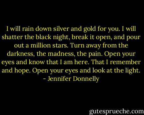 I will rain down silver and gold for you. I will shatter the black night, break it open, and pour out a million stars. Turn away from the darkness, the madness, the pain. Open your eyes and know that I am here. That I remember and hope. Open your eyes and look at the light. - Jennifer Donnelly