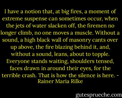 I have a notion that, at big fires, a moment of extreme suspense can sometimes occur, when the jets of water slacken off, the firemen no longer climb, no one moves a muscle. Without a sound, a high black wall of masonry cants over up above, the fire blazing behind it, and, without a sound, leans, about to topple. Everyone stands waiting, shoulders tensed, faces drawn in around their eyes, for the terrible crash. That is how the silence is here. - Rainer Maria Rilke