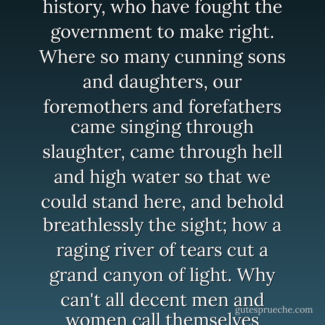 I love my country, by which I mean I am indebted joyfully to all the people throughout its history, who have fought the government to make right. Where so many cunning sons and daughters, our foremothers and forefathers came singing through slaughter, came through hell and high water so that we could stand here, and behold breathlessly the sight; how a raging river of tears cut a grand canyon of light. Why can't all decent men and women call themselves feminists, out of respect for those that fought for this? - Ani DiFranco