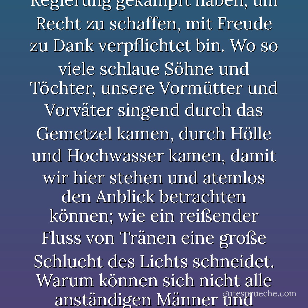 Ich liebe mein Land, und damit meine ich, dass ich all den Menschen in seiner Geschichte, die gegen die Regierung gekämpft haben, um Recht zu schaffen, mit Freude zu Dank verpflichtet bin. Wo so viele schlaue Söhne und Töchter, unsere Vormütter und Vorväter singend durch das Gemetzel kamen, durch Hölle und Hochwasser kamen, damit wir hier stehen und atemlos den Anblick betrachten können; wie ein reißender Fluss von Tränen eine große Schlucht des Lichts schneidet. Warum können sich nicht alle anständigen Männer und Frauen Feministinnen nennen, aus Respekt vor denen, die dafür gekämpft haben? - Ani DiFranco<