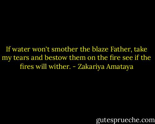 If water won't smother the blaze<br />Father, take my tears and bestow them on the fire<br />see if the fires will wither. - Zakariya Amataya