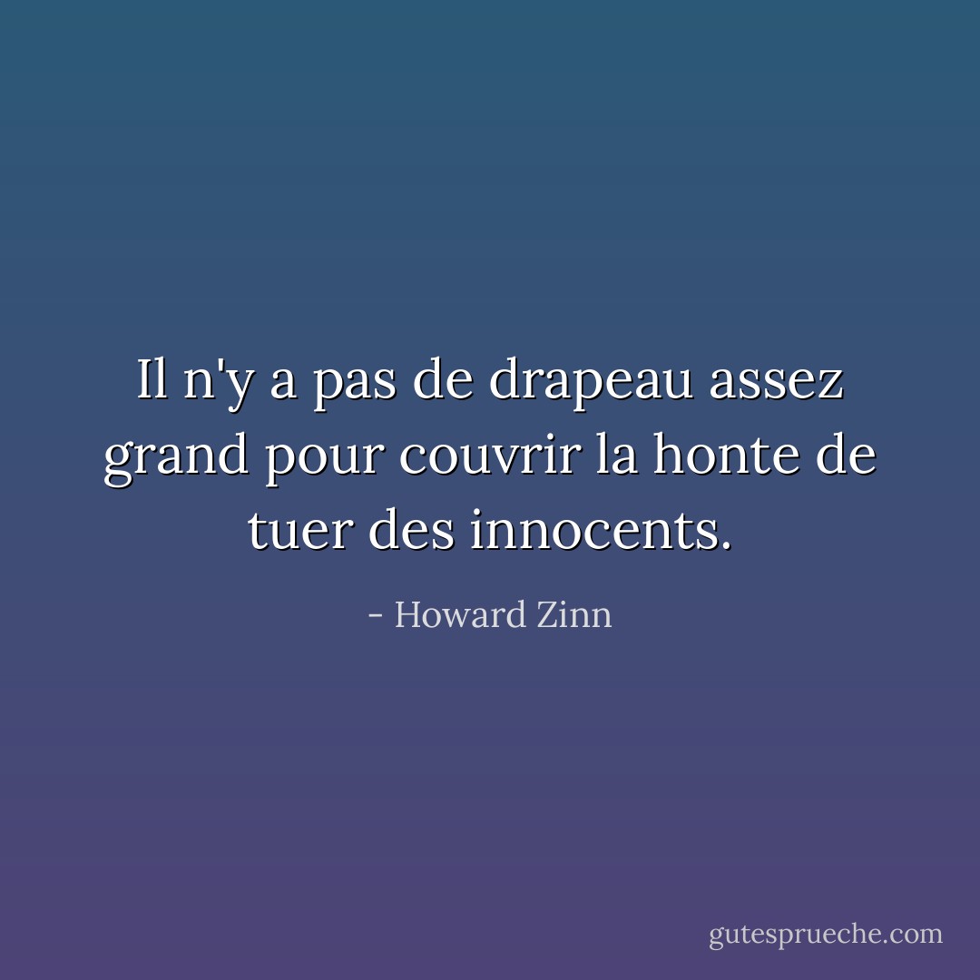 Il n'y a pas de drapeau assez grand pour couvrir la honte de tuer des innocents. - Howard Zinn
