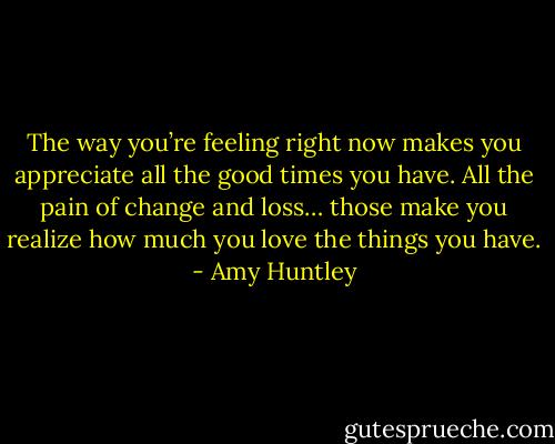 The way you’re feeling right now makes you appreciate all the good times you have. All the pain of change and loss… those make you realize how much you love the things you have. - Amy Huntley