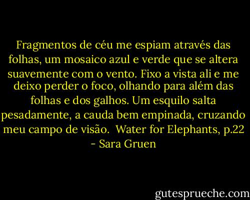 Fragmentos de céu me espiam através das folhas, um mosaico azul e verde que se altera suavemente com o vento. Fixo a vista ali e me deixo perder o foco, olhando para além das folhas e dos galhos. Um esquilo salta pesadamente, a cauda bem empinada, cruzando meu campo de visão.<br /><br />Water for Elephants, p.22 - Sara Gruen