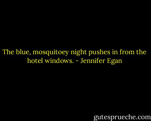 The blue, mosquitoey night pushes in from the hotel windows. - Jennifer Egan