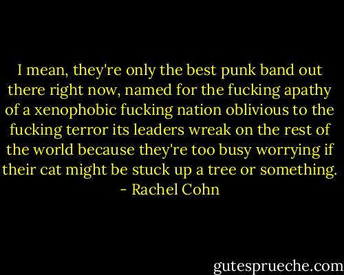 I mean, they're only the best punk band out there right now, named for the fucking apathy of a xenophobic fucking nation oblivious to the fucking terror its leaders wreak on the rest of the world because they're too busy worrying if their cat might be stuck up a tree or something. - Rachel Cohn