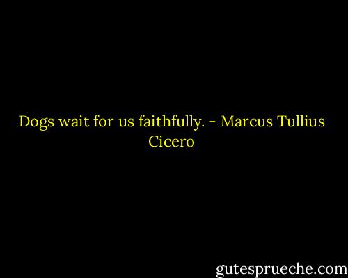 Dogs wait for us faithfully. - Marcus Tullius Cicero