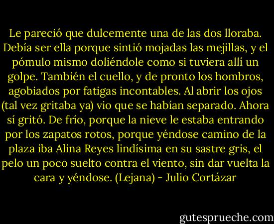 Le pareció que dulcemente una de las dos lloraba. Debía ser ella porque sintió mojadas las mejillas, y el pómulo mismo doliéndole como si tuviera allí un golpe. También el cuello, y de pronto los hombros, agobiados por fatigas incontables. Al abrir los ojos (tal vez gritaba ya) vio que se habían separado. Ahora sí gritó. De frío, porque la nieve le estaba entrando por los zapatos rotos, porque yéndose camino de la plaza iba Alina Reyes lindísima en su sastre gris, el pelo un poco suelto contra el viento, sin dar vuelta la cara y yéndose. (Lejana) - Julio Cortázar