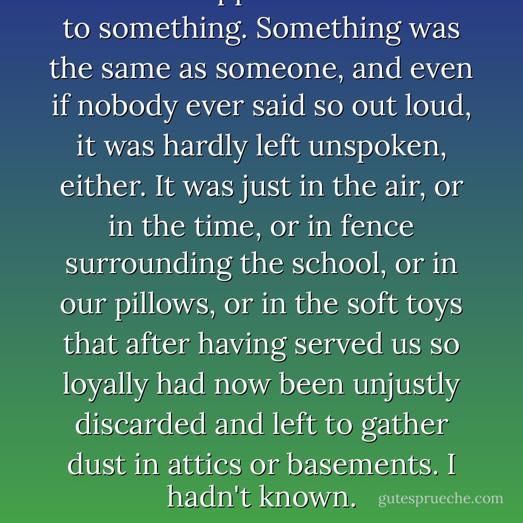 We were supposed to amount to something. Something was the same as someone, and even if nobody ever said so out loud, it was hardly left unspoken, either. It was just in the air, or in the time, or in fence surrounding the school, or in our pillows, or in the soft toys that after having served us so loyally had now been unjustly discarded and left to gather dust in attics or basements. I hadn't known. - Janne Teller