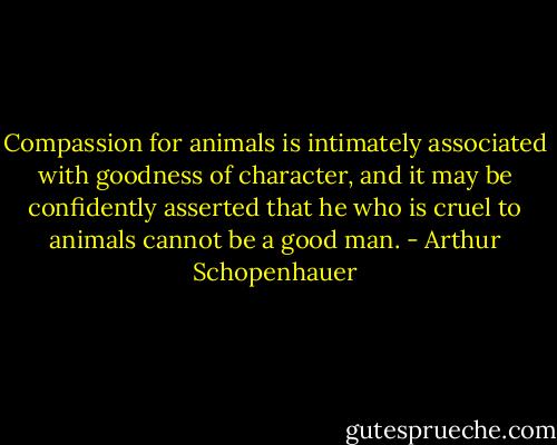 Compassion for animals is intimately associated with goodness of character, and it may be confidently asserted that he who is cruel to animals cannot be a good man. - Arthur Schopenhauer