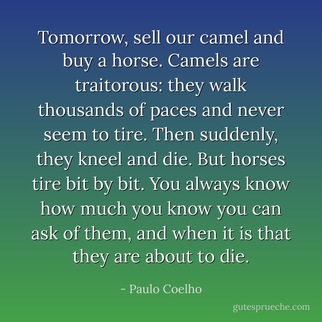 Tomorrow, sell our camel and buy a horse. Camels are traitorous: they walk thousands of paces and never seem to tire. Then suddenly, they kneel and die. But horses tire bit by bit. You always know how much you know you can ask of them, and when it is that they are about to die. - Paulo Coelho