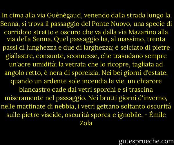 In cima alla via Guénégaud, venendo dalla strada lungo la Senna, si trova il passaggio del Ponte Nuovo, una specie di corridoio stretto e oscuro che va dalla via Mazarino alla via della Senna. Quel passaggio ha, al massimo, trenta passi di lunghezza e due di larghezza; è selciato di pietre giallastre, consunte, sconnesse, che trasudano sempre un'acre umidità; la vetrata che lo ricopre, tagliata ad angolo retto, è nera di sporcizia.<br />Nei bei giorni d'estate, quando un ardente sole incendia le vie, un chiarore biancastro cade dai vetri sporchi e si trascina miseramente nel passaggio. Nei brutti giorni d'inverno, nelle mattinate di nebbia, i vetri gettano soltanto oscurità sulle pietre viscide, oscurità sporca e ignobile. - Émile Zola