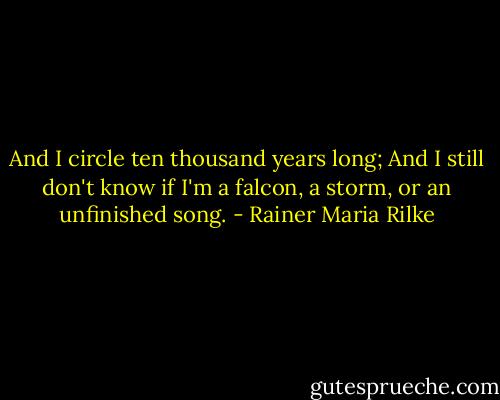 And I circle ten thousand years long; And I still don't know if I'm a falcon, a storm, or an unfinished song. - Rainer Maria Rilke