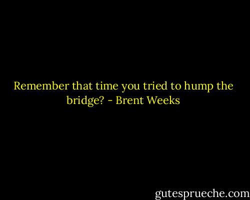 Remember that time you tried to hump the bridge? - Brent Weeks