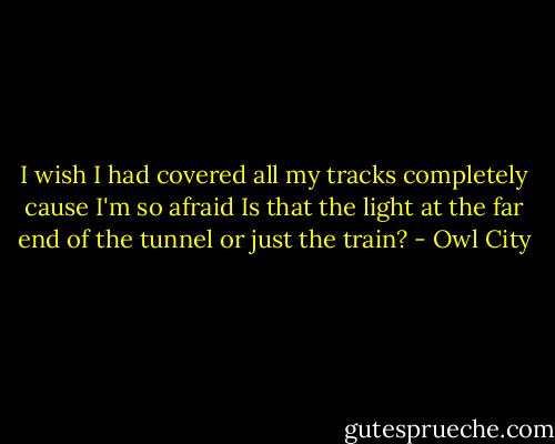 I wish I had covered all my tracks completely cause I'm so afraid<br />Is that the light at the far end of the tunnel or just the train? - Owl City