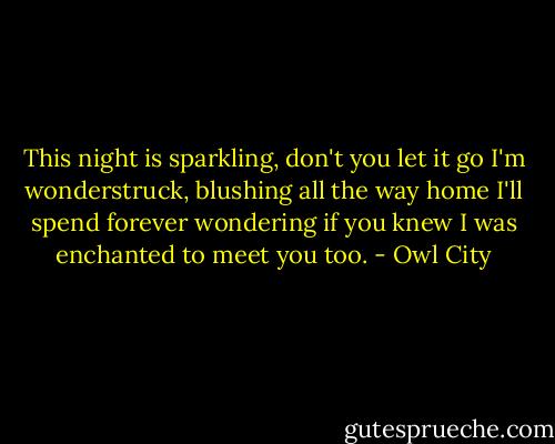 This night is sparkling, don't you let it go<br />I'm wonderstruck, blushing all the way home<br />I'll spend forever wondering if you knew<br />I was enchanted to meet you too. - Owl City