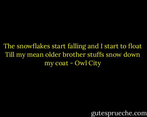 The snowflakes start falling and I start to float<br />Till my mean older brother stuffs snow down my coat - Owl City