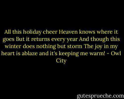 All this holiday cheer<br />Heaven knows where it goes<br />But it returns every year<br />And though this winter does nothing but storm<br />The joy in my heart is ablaze and it's keeping me warm! - Owl City