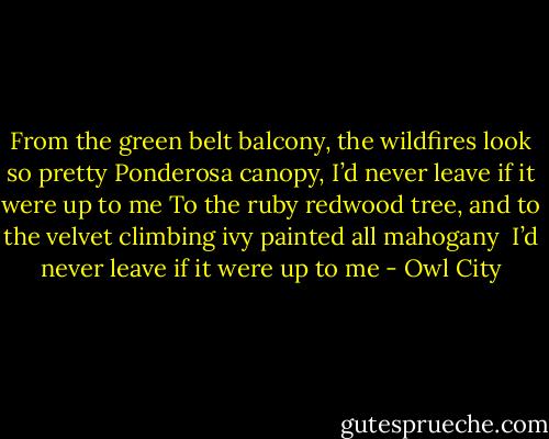 From the green belt balcony, the wildfires look so pretty<br />Ponderosa canopy, I’d never leave if it were up to me<br />To the ruby redwood tree, and to the velvet climbing ivy painted all mahogany <br />I’d never leave if it were up to me - Owl City