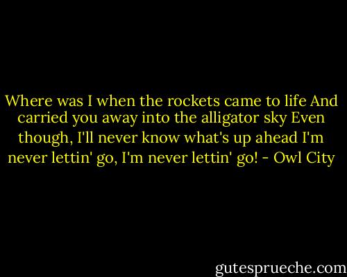 Where was I when the rockets came to life<br />And carried you away into the alligator sky<br />Even though, I'll never know what's up ahead<br />I'm never lettin' go, I'm never lettin' go! - Owl City