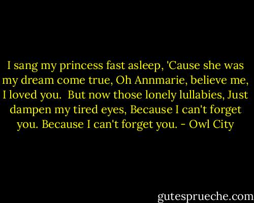 I sang my princess fast asleep,<br />'Cause she was my dream come true,<br />Oh Annmarie, believe me, I loved you.<br /><br />But now those lonely lullabies,<br />Just dampen my tired eyes,<br />Because I can't forget you.<br />Because I can't forget you. - Owl City