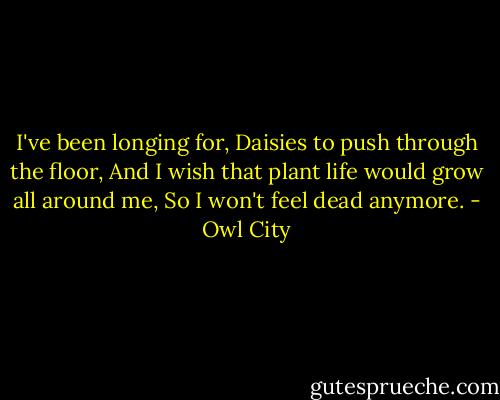 I've been longing for,<br />Daisies to push through the floor,<br />And I wish that plant life would grow all around me,<br />So I won't feel dead anymore. - Owl City