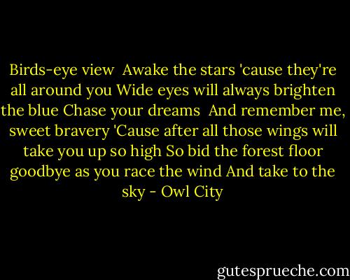 Birds-eye view <br />Awake the stars 'cause they're all around you<br />Wide eyes will always brighten the blue<br />Chase your dreams <br />And remember me, sweet bravery<br />'Cause after all those wings will take you up so high<br />So bid the forest floor goodbye as you race the wind<br />And take to the sky - Owl City