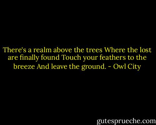 There's a realm above the trees<br />Where the lost are finally found<br />Touch your feathers to the breeze<br />And leave the ground. - Owl City