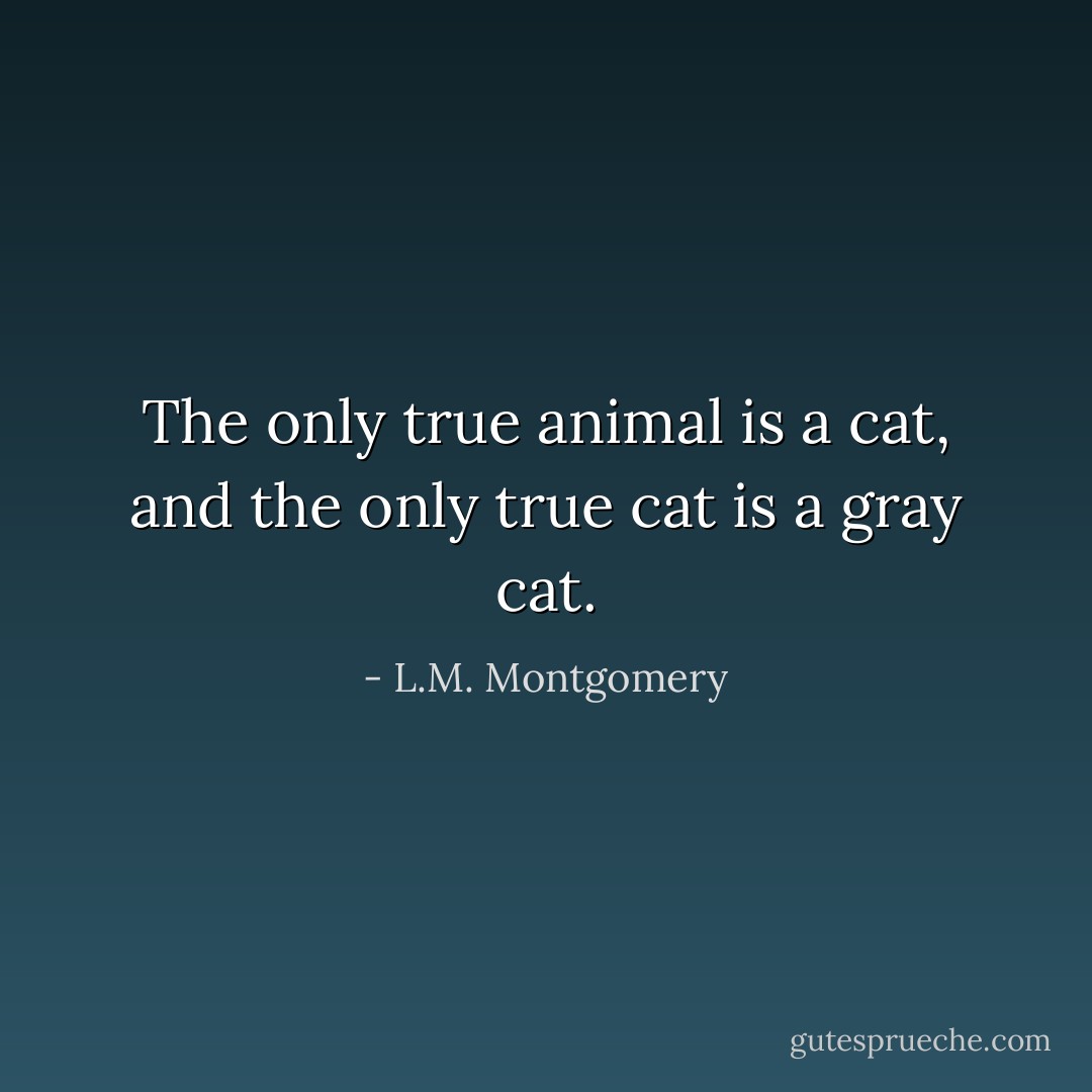 The only true animal is a cat, and the only true cat is a gray cat. - L.M. Montgomery