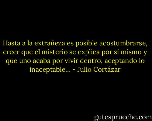 Hasta a la extrañeza es posible acostumbrarse, creer que el misterio<br />se explica por sí mismo y que uno acaba por vivir dentro, aceptando lo inaceptable… - Julio Cortázar