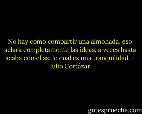 No hay como compartir una almohada, eso aclara completamente las ideas; a veces hasta acaba con ellas, lo cual es una tranquilidad. - Julio Cortázar