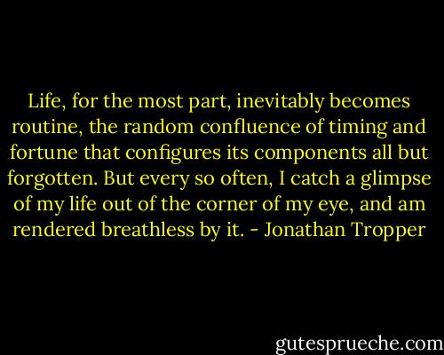 Life, for the most part, inevitably becomes routine, the random confluence of timing and fortune that configures its components all but forgotten. But every so often, I catch a glimpse of my life out of the corner of my eye, and am rendered breathless by it. - Jonathan Tropper