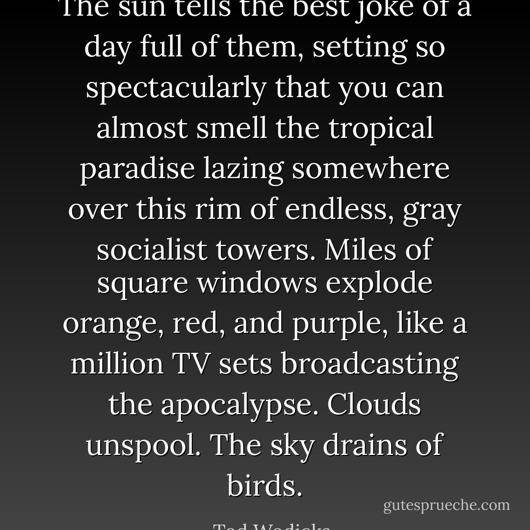 The sun tells the best joke of a day full of them, setting so spectacularly that you can almost smell the tropical paradise lazing somewhere over this rim of endless, gray socialist towers. Miles of square windows explode orange, red, and purple, like a million TV sets broadcasting the apocalypse. Clouds unspool. The sky drains of birds. - Tod Wodicka
