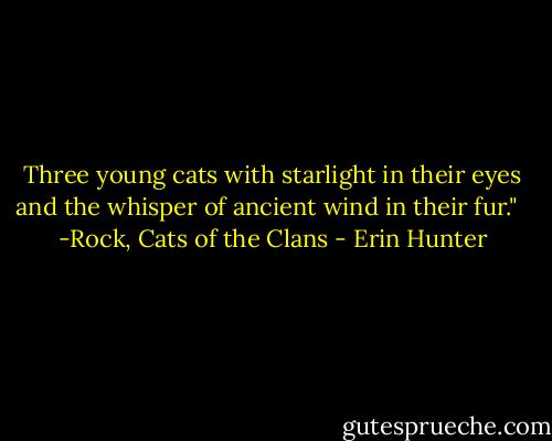 Three young cats with starlight in their eyes and the whisper of ancient wind in their fur."<br /><br /> -Rock, Cats of the Clans - Erin Hunter