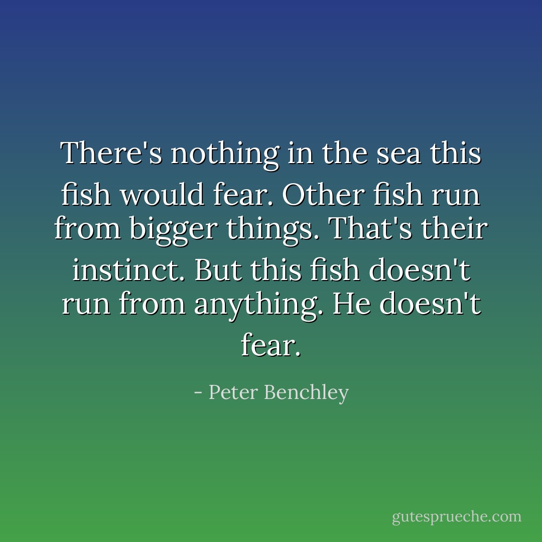 There's nothing in the sea this fish would fear. Other fish run from bigger things. That's their instinct. But this fish doesn't run from anything. He doesn't fear. - Peter Benchley