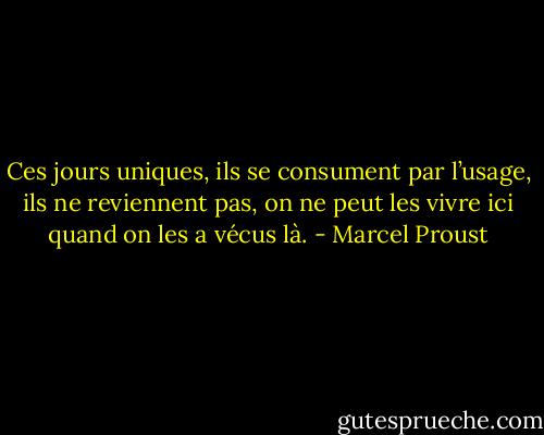 Ces jours uniques, ils se consument par l’usage, ils ne reviennent pas, on ne peut les vivre ici quand on les a vécus là. - Marcel Proust