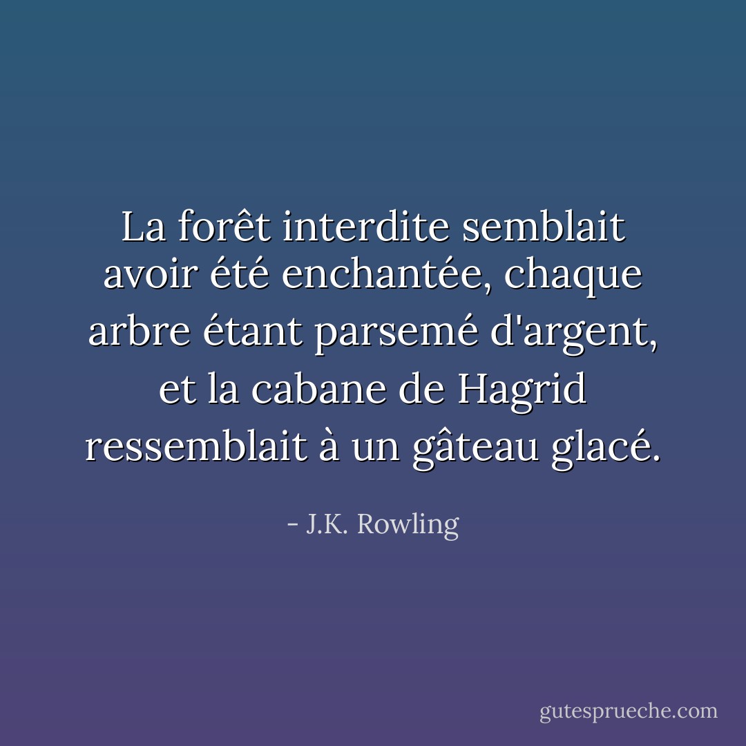 La forêt interdite semblait avoir été enchantée, chaque arbre étant parsemé d'argent, et la cabane de Hagrid ressemblait à un gâteau glacé. - J.K. Rowling