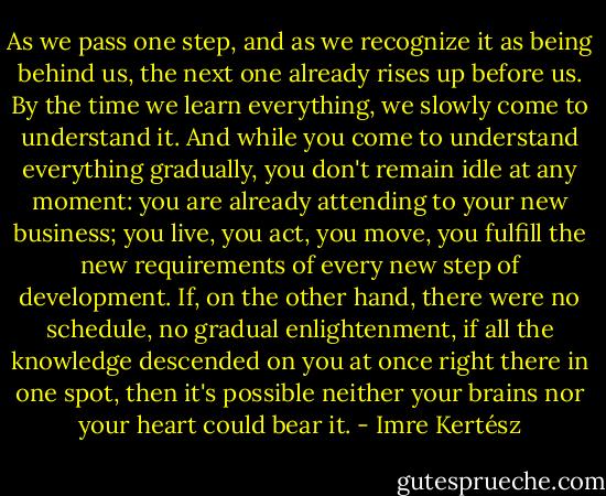 As we pass one step, and as we recognize it as being behind us, the next one already rises up before us. By the time we learn everything, we slowly come to understand it. And while you come to understand everything gradually, you don't remain idle at any moment: you are already attending to your new business; you live, you act, you move, you fulfill the new requirements of every new step of development. If, on the other hand, there were no schedule, no gradual enlightenment, if all the knowledge descended on you at once right there in one spot, then it's possible neither your brains nor your heart could bear it. - Imre Kertész