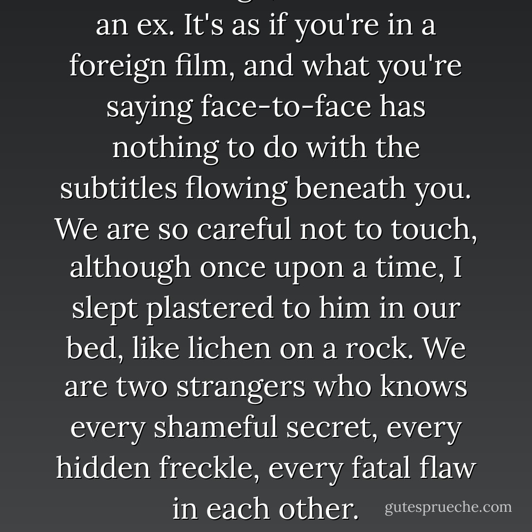 It is so strange, to encounter an ex. It's as if you're in a foreign film, and what you're saying face-to-face has nothing to do with the subtitles flowing beneath you. We are so careful not to touch, although once upon a time, I slept plastered to him in our bed, like lichen on a rock. We are two strangers who knows every shameful secret, every hidden freckle, every fatal flaw in each other. - Jodi Picoult