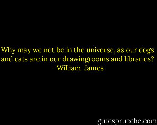 Why may we not be in the universe, as our dogs and cats are in our drawingrooms and libraries? - William  James